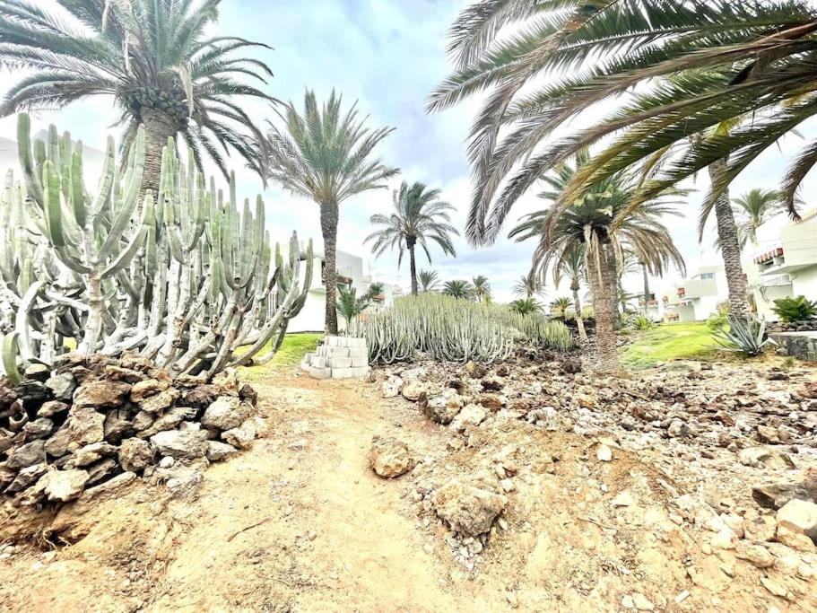 Apartamento Con Piscina Sur De Tenerife Costa Del Silencio Zewnętrze zdjęcie